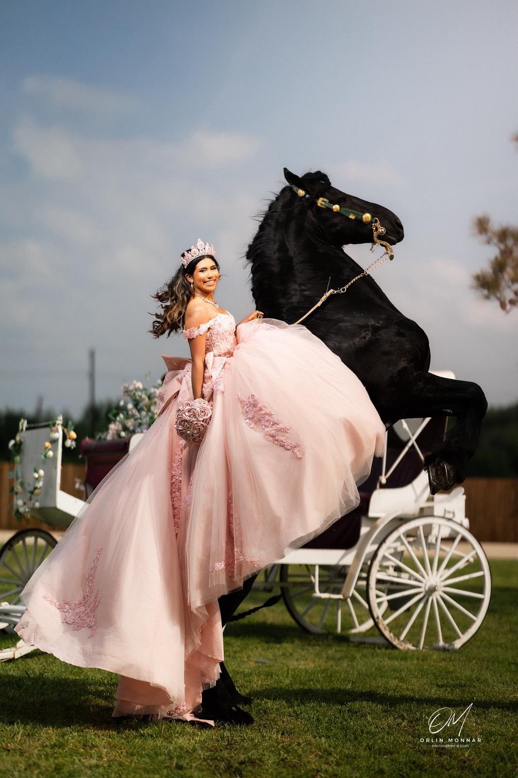 Horse Sessions